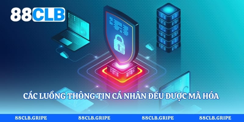 Các luồng thông tin cá nhân đều được mã hóa